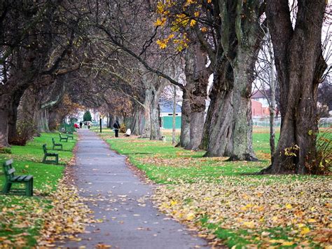 People's Park Bray 