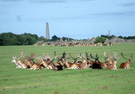 Phoenix Park